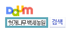http://www.daum.net